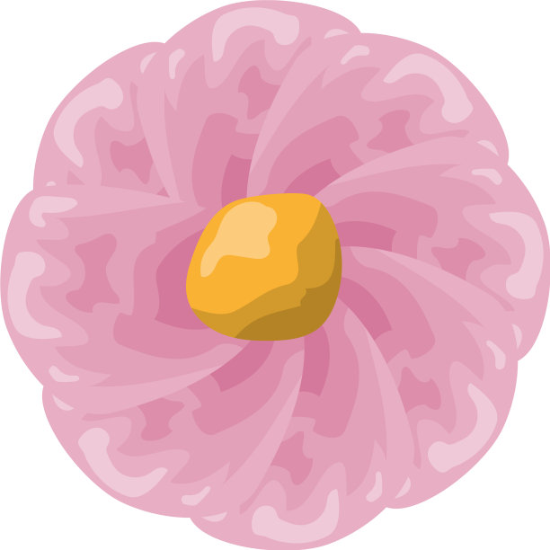 美丽的花朵装饰图片下载