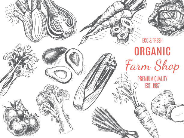 有机农场商店素描蔬菜图片下载