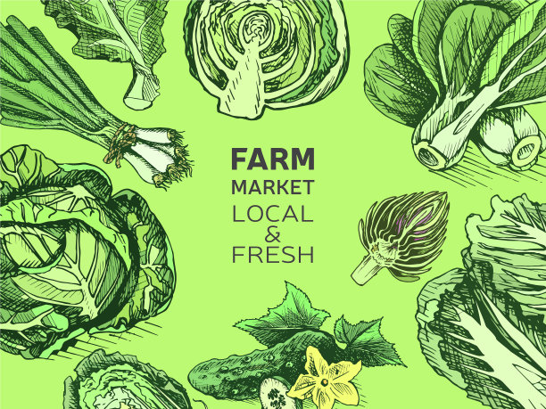 生态商店农产品素描蔬菜图片下载