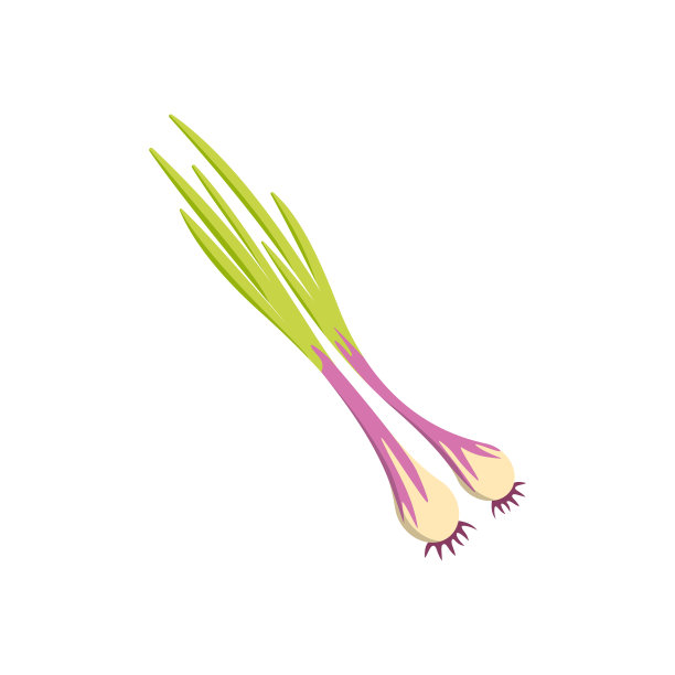 半片大蒜和全大蒜隔离套图片下载