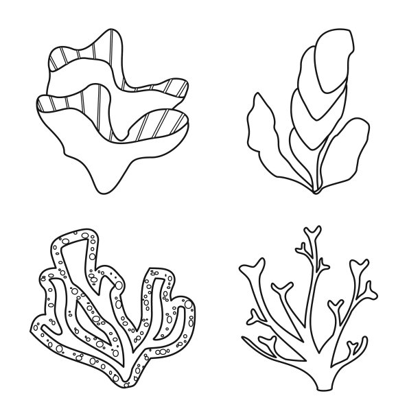 孤立的对象海洋和海洋图标设置海洋图片下载