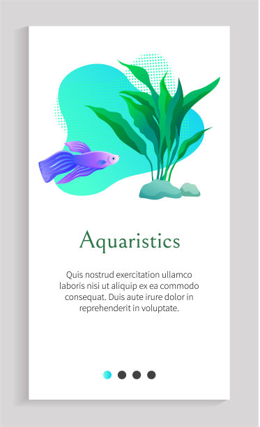 水族的鱼漂浮在水里，海藻和石头图片下载