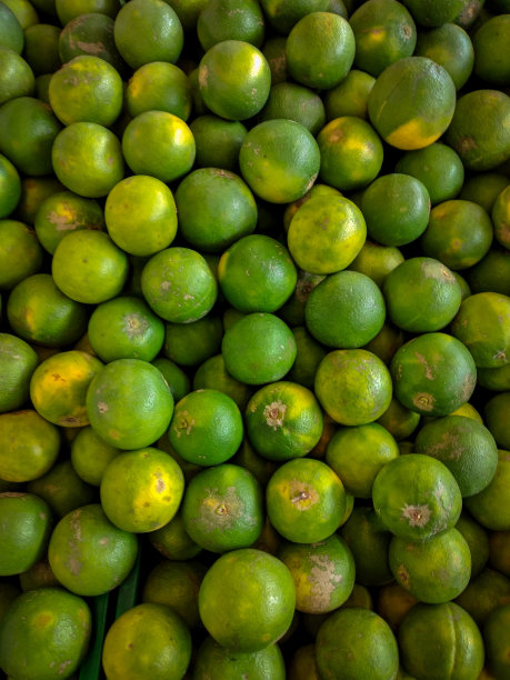 柑橘或甜橙组图片下载