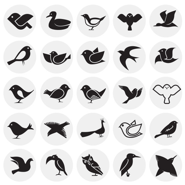 鸟图标设置在圆圈上，背景为白色图片下载