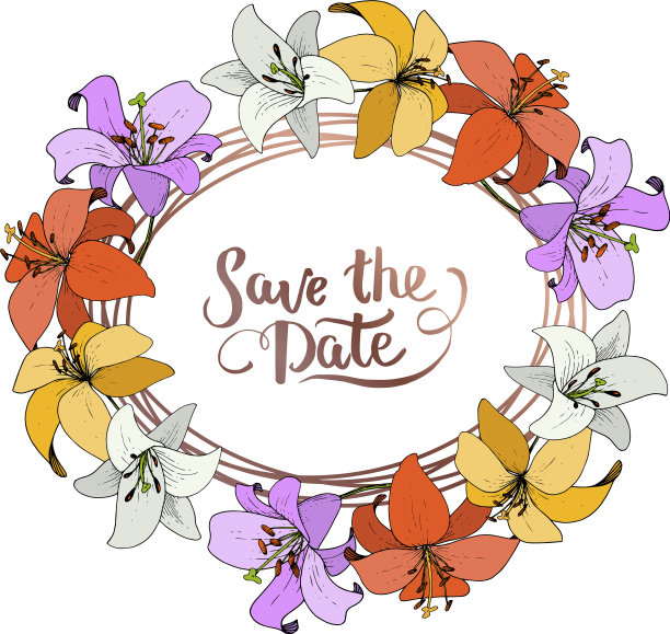 百合属植物花，野生春叶图片下载