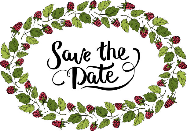 树莓是健康食品，孤立红和图片下载