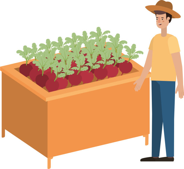 木架子上有蔬菜和小贩图片下载