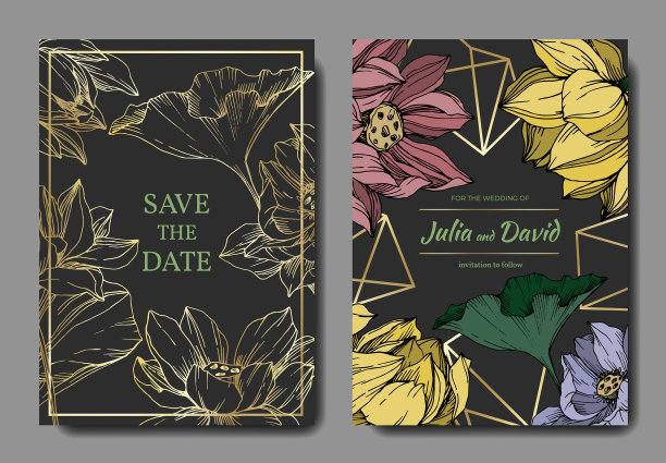 荷花，植物花黑色和图片下载