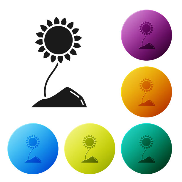 黑色向日葵图标孤立在白色背景图片下载