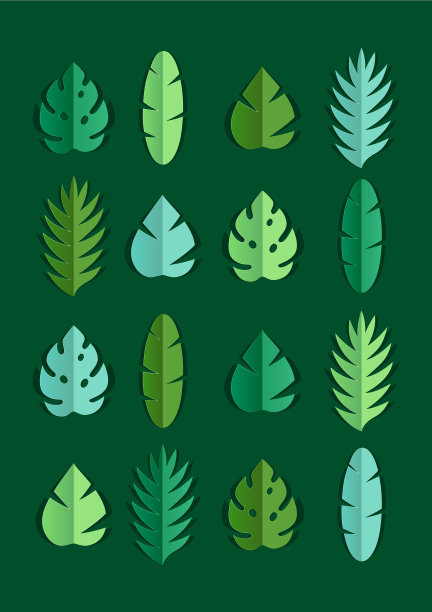 裱纸棕榈叶图片下载