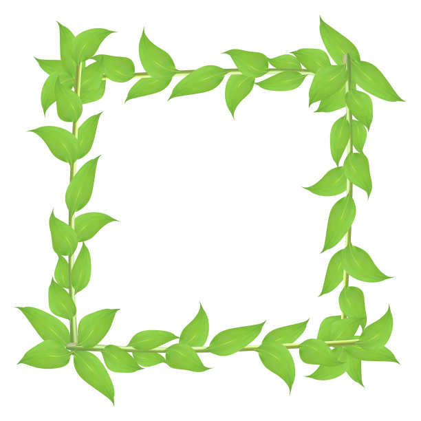落叶框架，茎和绿叶图片下载