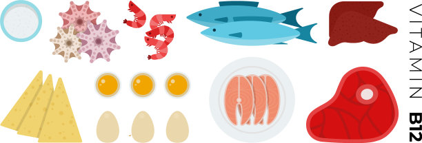 维生素b12食物平面图标与鱼和图片下载