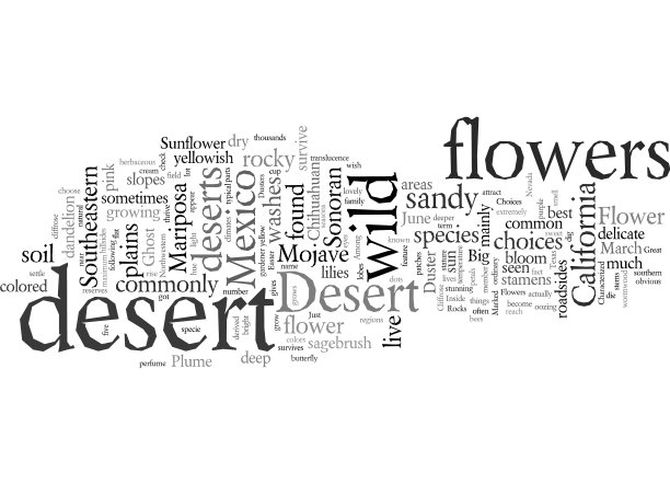 沙漠野花你的选择是什么图片下载