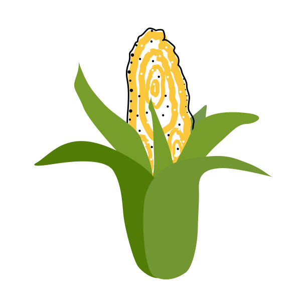 平玉米孤立矢量图。健康生活方式设计模式。北欧风格。素食夏天背景。厨房的艺术。新鲜的海报。图片下载