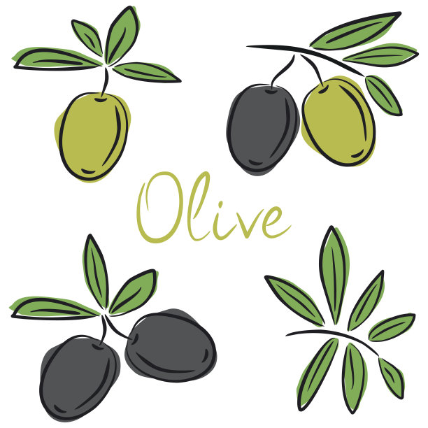 矢量孤立的颜色绿色和黑色橄榄图标图片下载