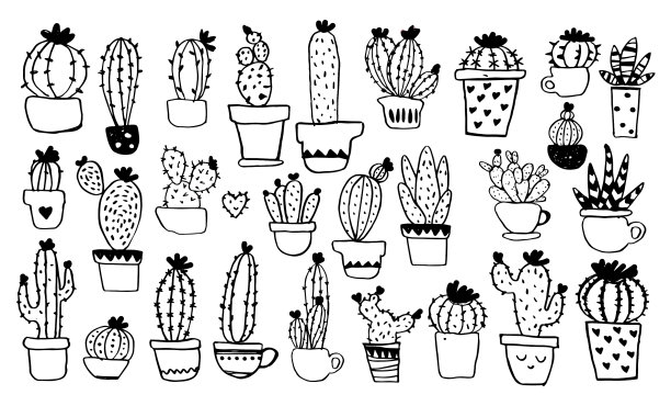 收集不同类型的仙人掌在POTS图片下载