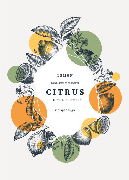 柑橘类水果搭配时尚设计的柠檬架图片下载
