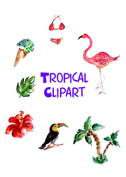 光明旅游休闲c图片下载