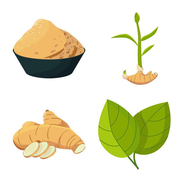 设计有机食品标志套装图片下载