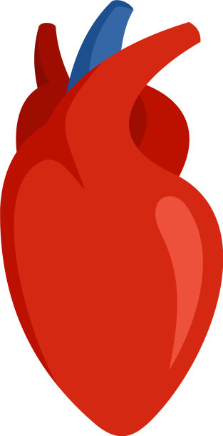 人类心脏图标扁平化风格图片下载