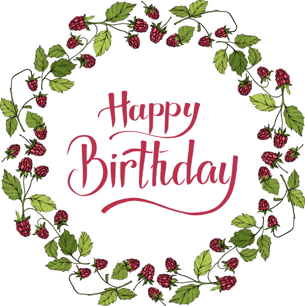 树莓是健康食品，孤立红和图片下载