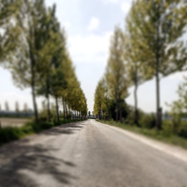 荷兰堤坝图片下载