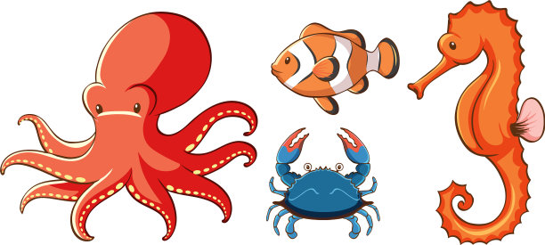 孤立图片海洋动物图片下载