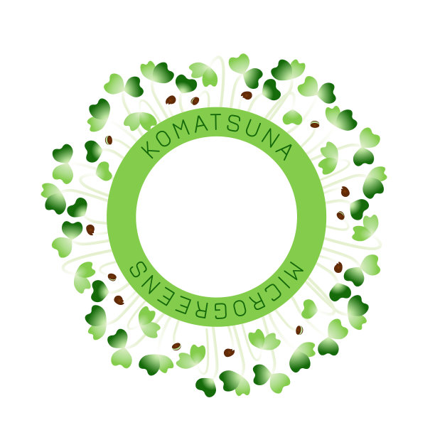 小松种子包装设计图片下载