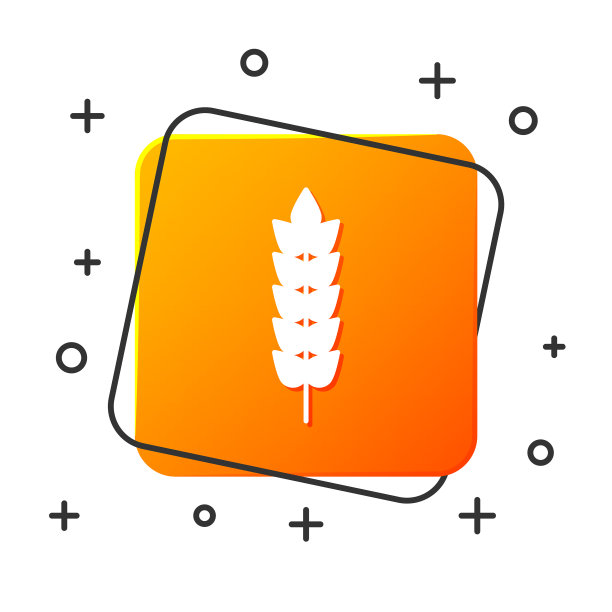 白色谷物与水稻、小麦、玉米、燕麦图片下载