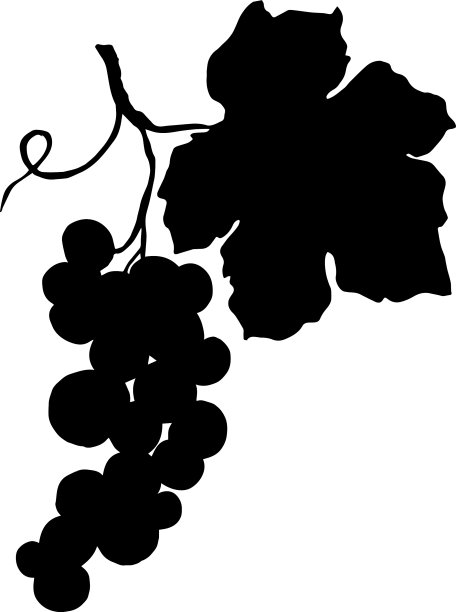 黑莓健康食品图片下载