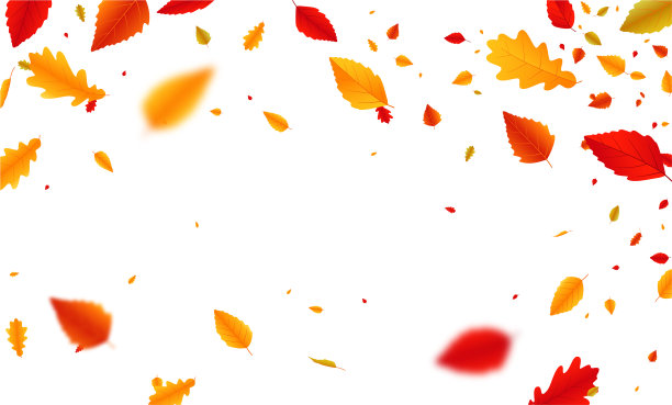 秋叶落旗图片下载