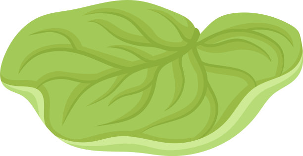 荷花萼片具叶缘花部分图片下载