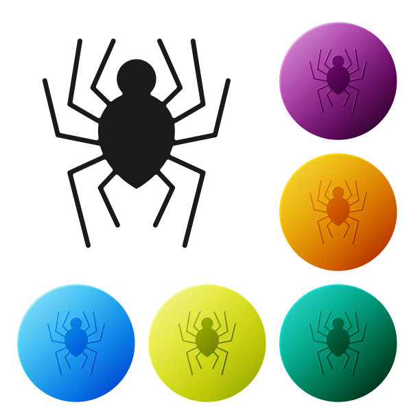 黑蜘蛛图标孤立在白色背景上图片下载