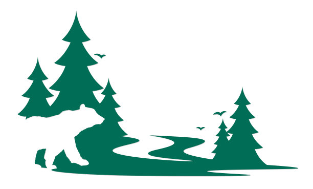 熊与绿色森林图片下载