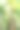 彩色的森林。图片下载