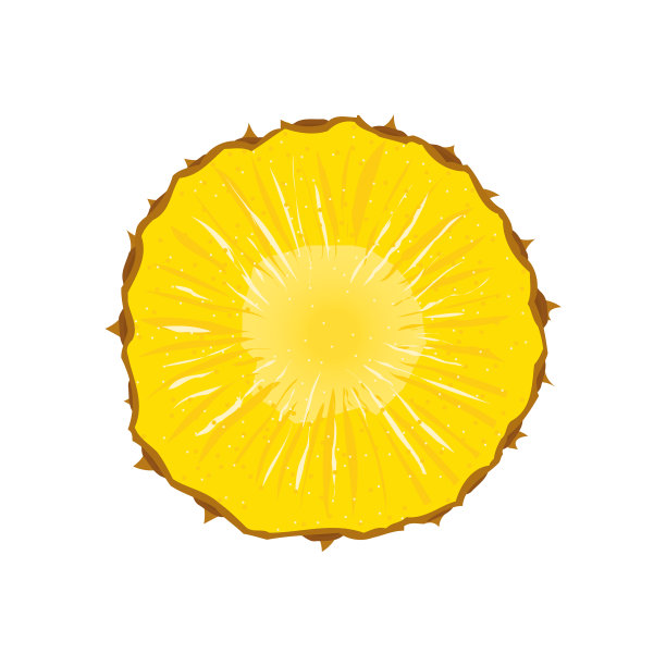 菠萝切片水果图片下载