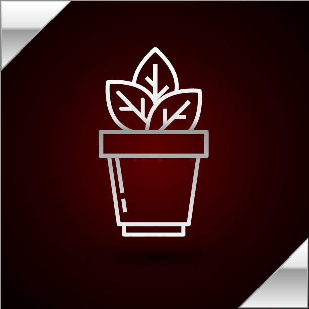 银线花在盆中孤立在黑暗的图标图片下载