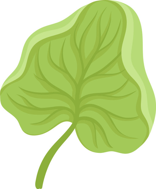 荷花萼片具叶缘花部分图片下载