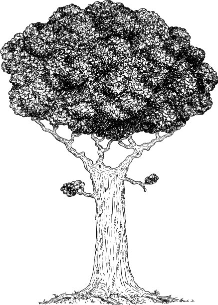 卡通画阔叶树图片下载