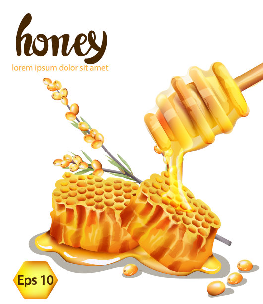 木勺和黄色浆果组成的蜂巢图片下载