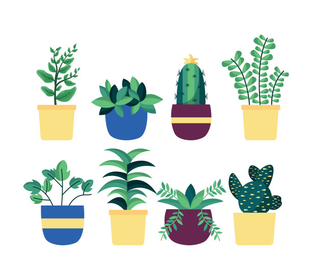 隔离室内植物盆栽设计图片下载