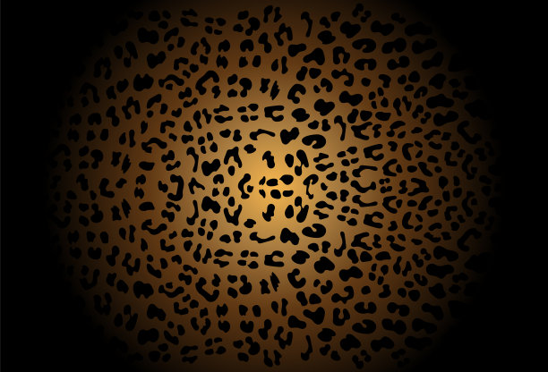 豹背景现代设计safari图片下载