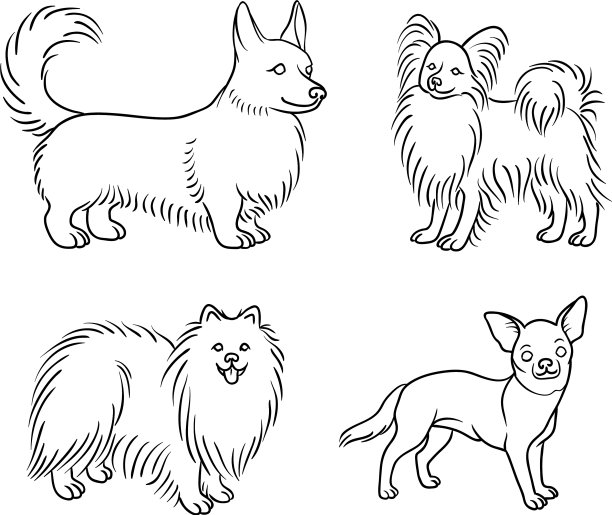 轮廓设置6中不同品种的狗图片下载