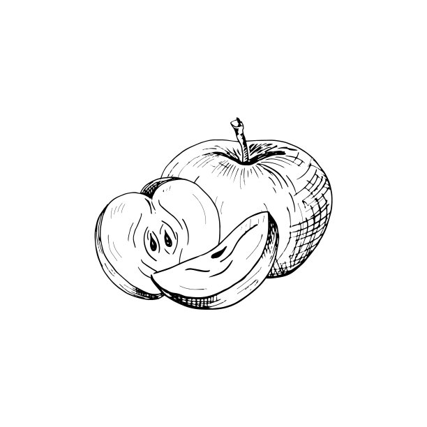 苹果素描手绘苹果图片下载