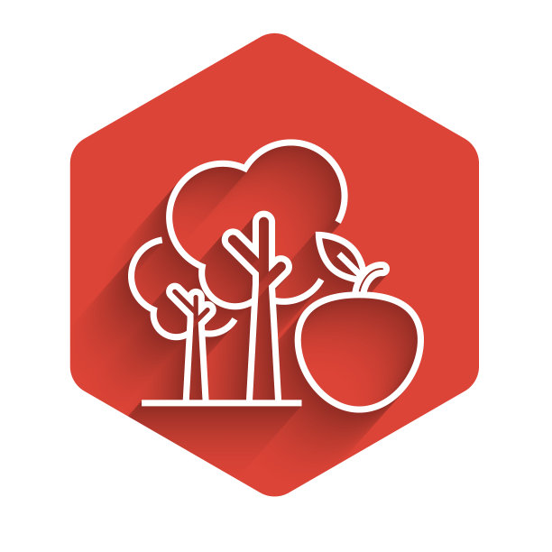 白色线树与苹果图标隔离与长图片下载