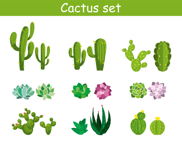 带花的卡通仙人掌图片下载