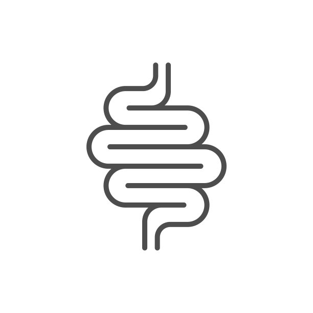 肠线图标或消化系统符号图片下载
