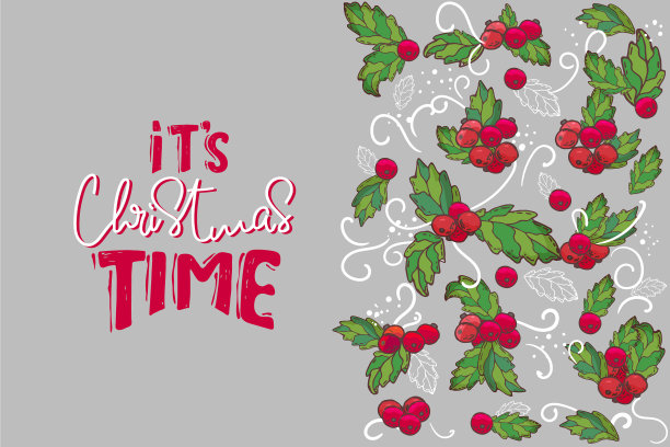 圣诞快乐，槲寄生冬青图片下载