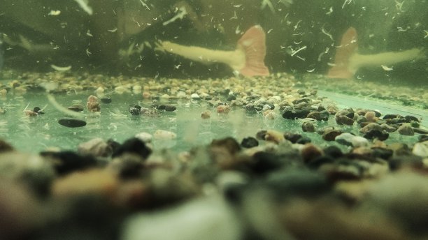 水族馆图片下载