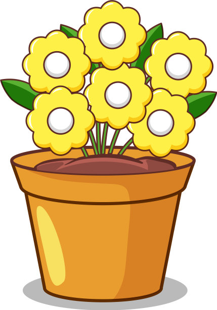 黄色的花，白色的背景图片下载